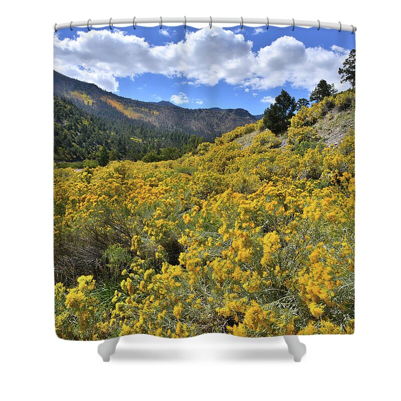 Nevada Shower Curtain featuring the photograph The Road to Mt. Charleston by Ray Mathis