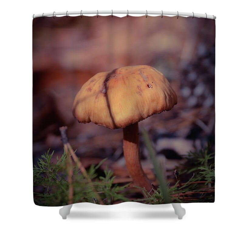 Mushroom Shower Curtain featuring the photograph The Sacred Mushroom by Adrian De Leon Art and Photography