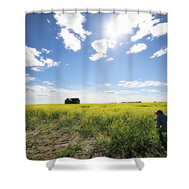 Canola Shower Curtain featuring the photograph The Saskatchewan Prairies by Ryan Crouse