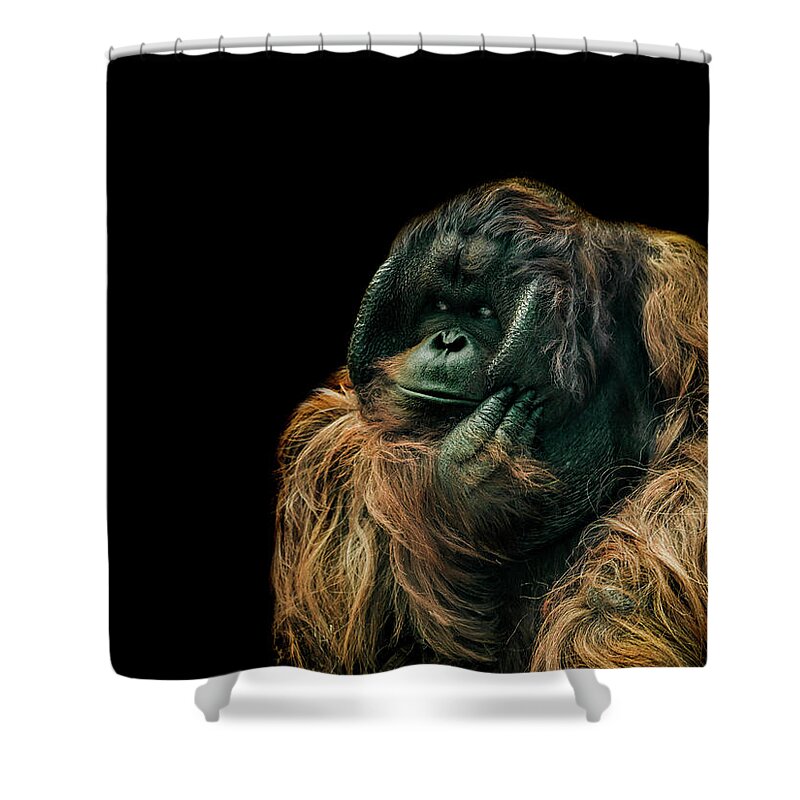 Orangutan Shower Curtain featuring the photograph The Sceptic by Paul Neville