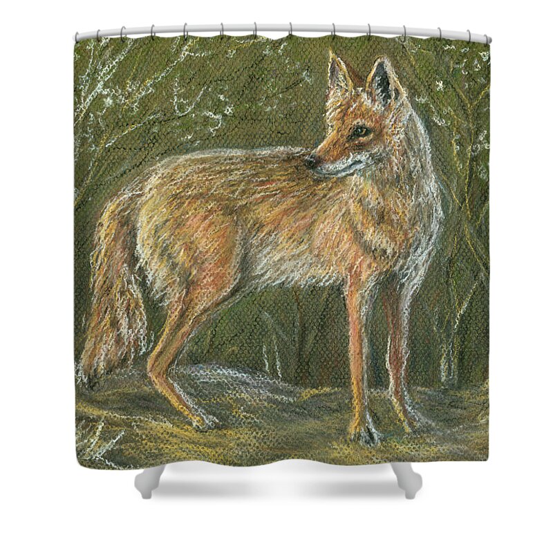 Animal Shower Curtain featuring the painting The Scout, Coyote by June Hunt