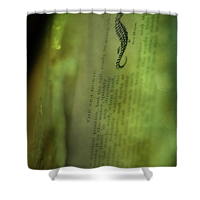 Seahorse Shower Curtain featuring the photograph The Sea-Horse by Rebecca Sherman