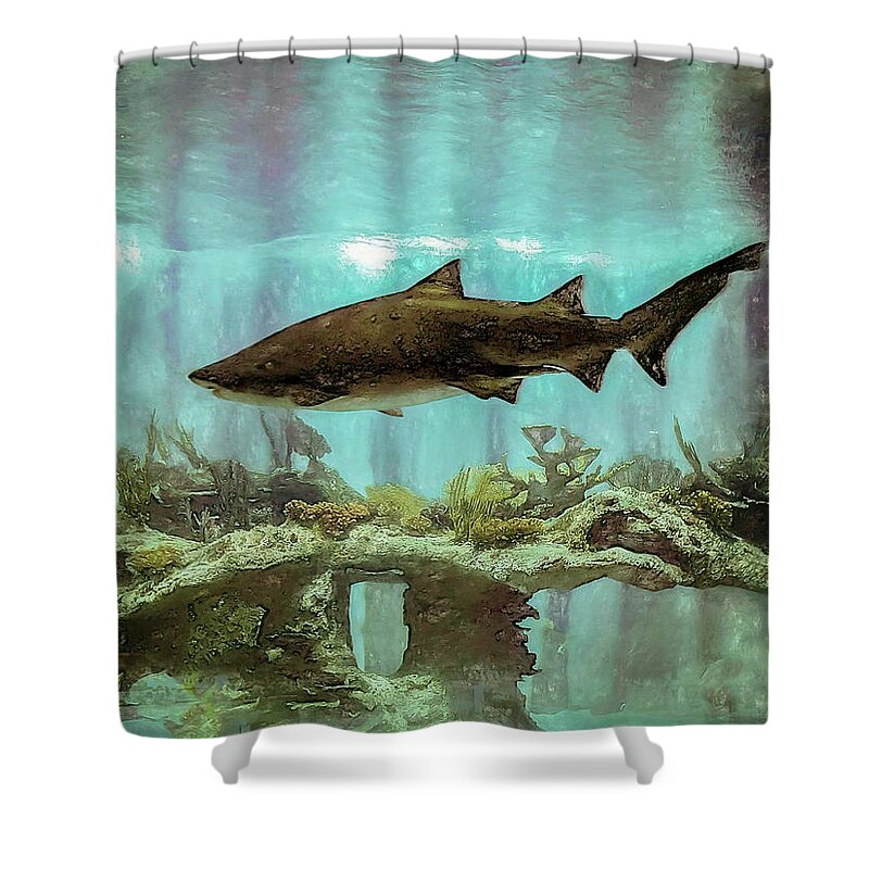 Shark Shower Curtain featuring the photograph The Shark by Will Wagner