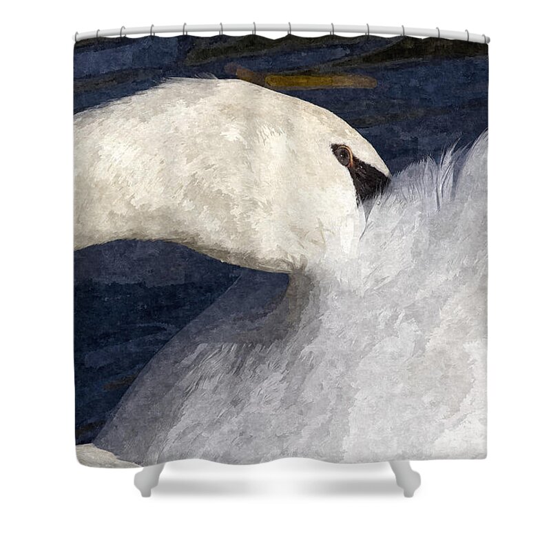 Swan Shower Curtain featuring the photograph The Shy Swan Art by David Pyatt