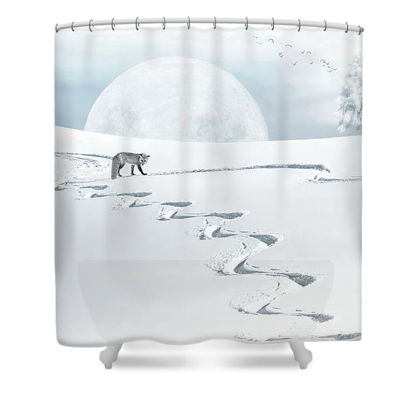 Fox Shower Curtain featuring the photograph The Silver Fox by Andrea Kollo