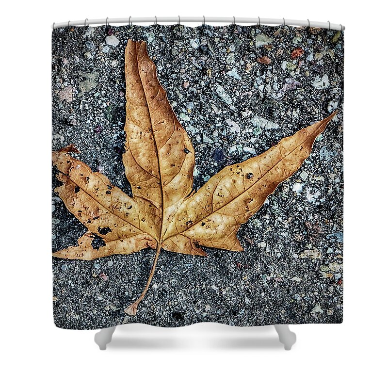 Leaves Shower Curtain featuring the photograph The Simplest Things by Elaine Malott