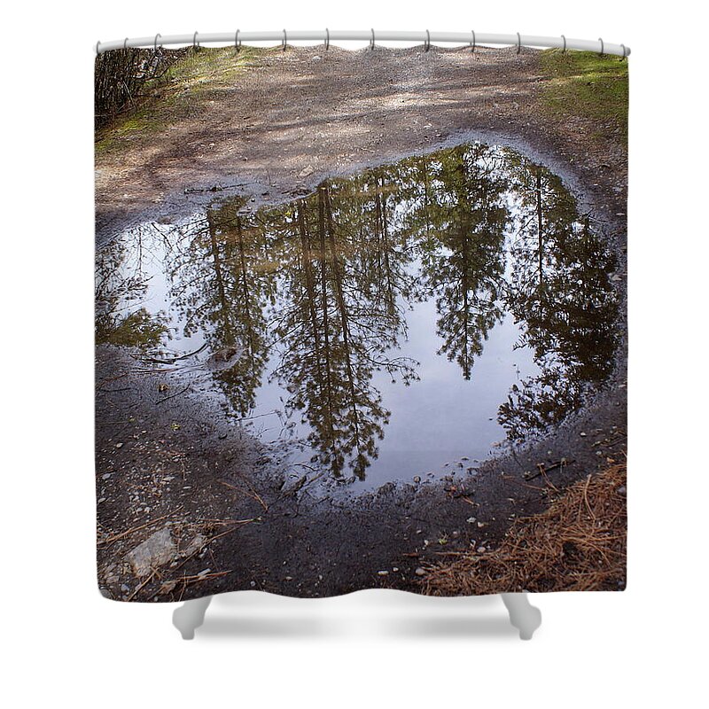 Nature Shower Curtain featuring the photograph The Sky Below by Ben Upham III