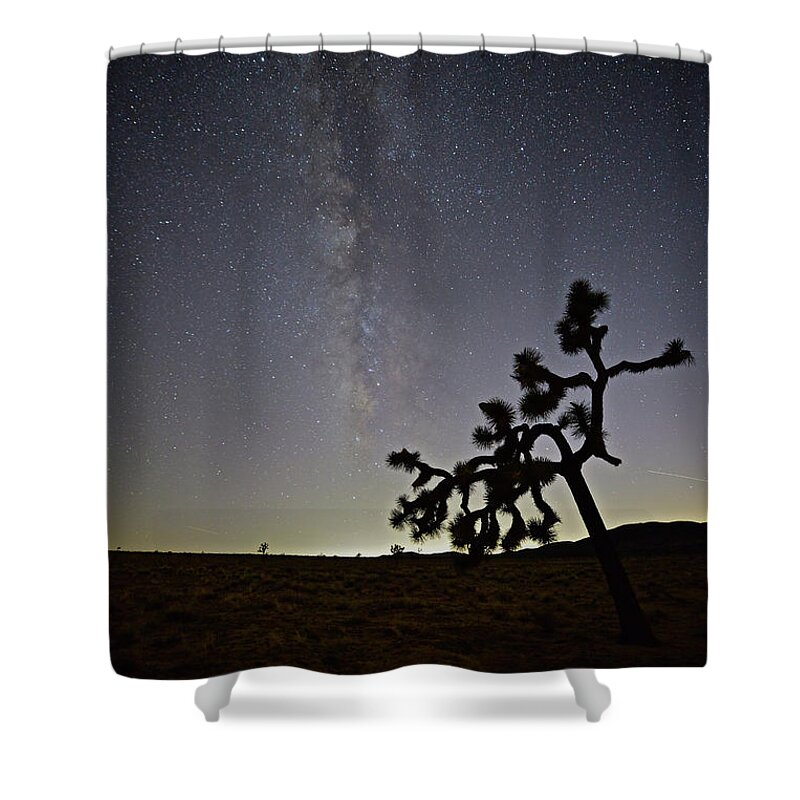 Joshua Tree National Park Shower Curtain featuring the photograph The Small of It All by Don Mercer
