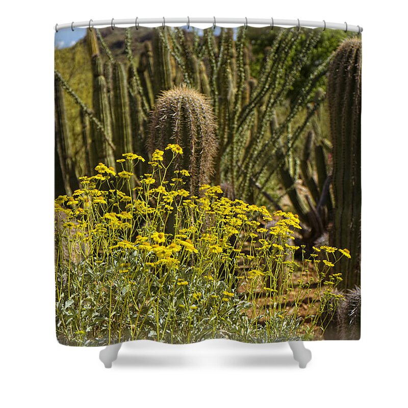 Flowers Shower Curtain featuring the photograph The Song Of The Sonoran Desert by Lucinda Walter