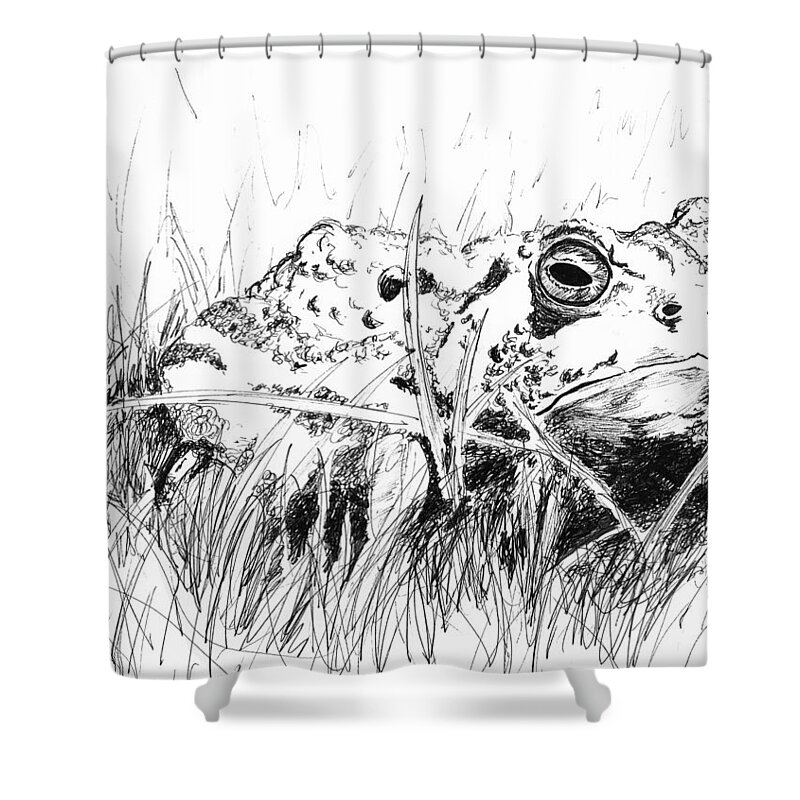 Toad Shower Curtain featuring the drawing The Stalwart Old Toad by Andrew Gillette