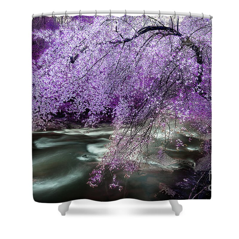 Spring Tree Shower Curtain featuring the photograph The Stream's Healing Rhythm by Michael Eingle