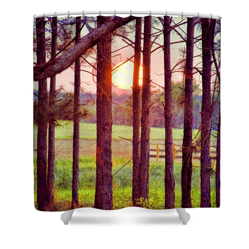 Landscapes Shower Curtain featuring the photograph The Sun Pines Away by Jan Amiss Photography