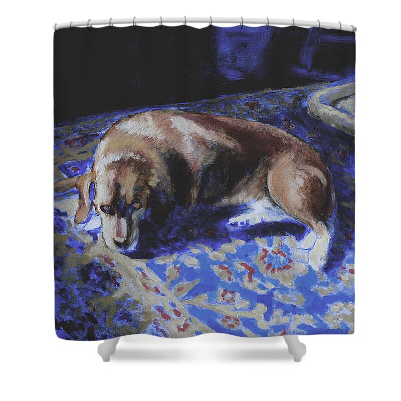 Dog On A Rug Shower Curtain featuring the painting The Sunbather by David Zimmerman