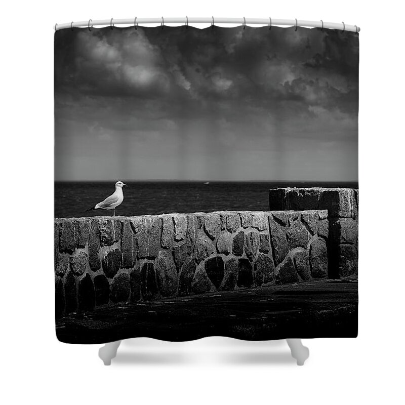 Blumwurks Shower Curtain featuring the photograph The Surveyor by Matthew Blum