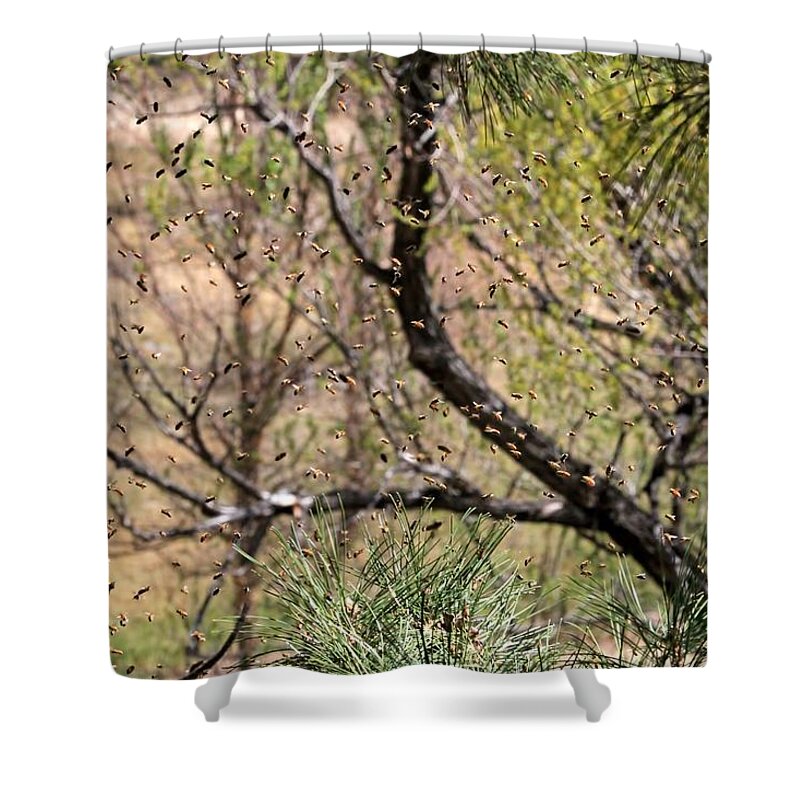 Bee Swarm Shower Curtain featuring the photograph The Swarm by Donna Kennedy