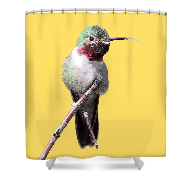 Humming-bird Shower Curtain featuring the photograph The Taste Of Air by Shane Bechler