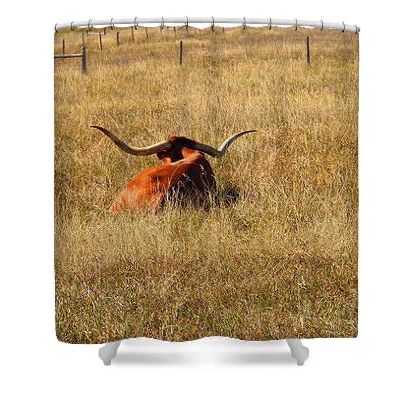 The Three Amigos Shower Curtain featuring the photograph The Three Amigos 8328 by Jack Schultz