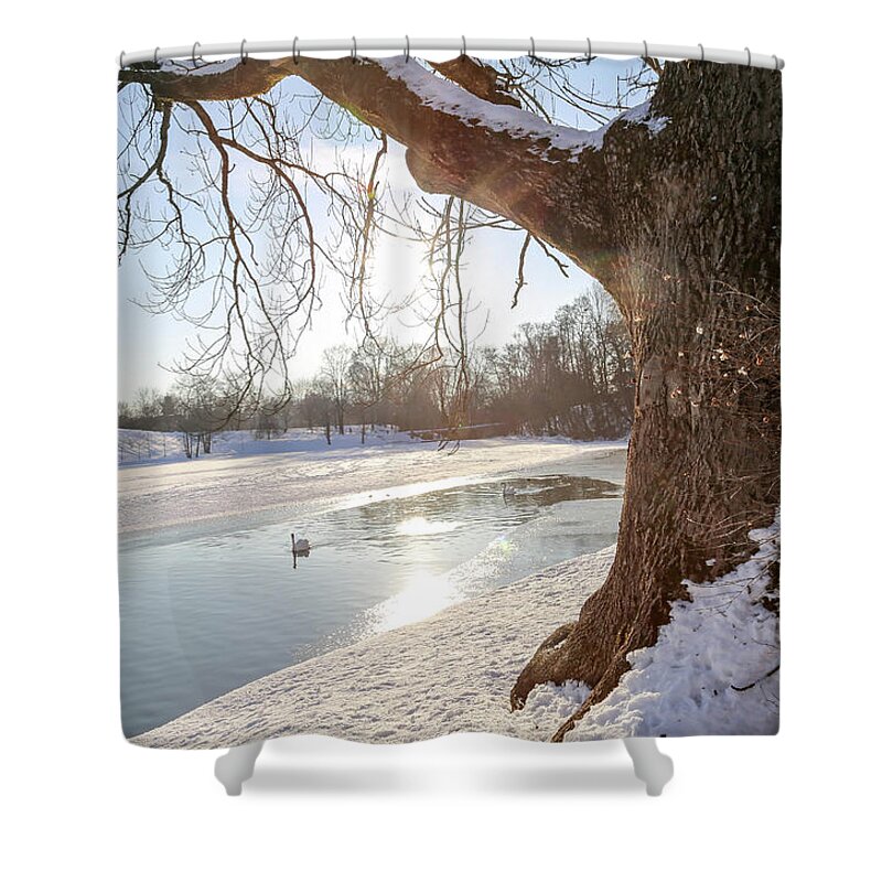 Swan Pond Big Tree Trees View Outdoors Panorama Reflection Sun Sunny Waterfront Water Bird Birds Wildlife Nature Landscape Photo Photography Clouds Oslo Norway Scandinavia Europe Outdoors Sky White Snow Winter Ice Shower Curtain featuring the digital art The Three By the Swan by Jeanette Rode Dybdahl