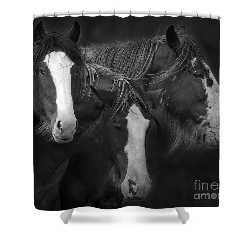 Festblues Shower Curtain featuring the photograph The Three Sombreros.. by Nina Stavlund