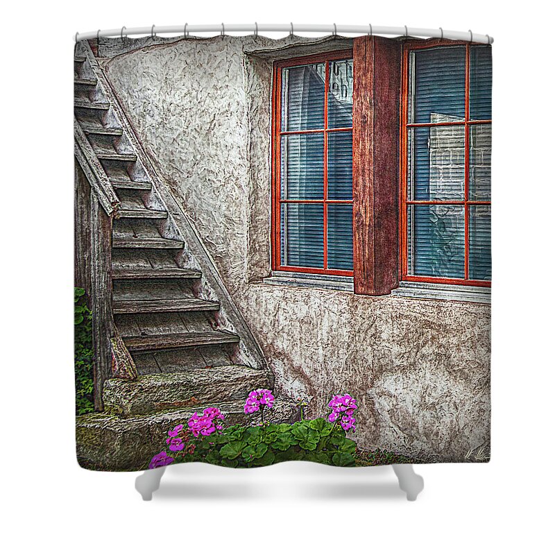 Switzerland Shower Curtain featuring the photograph The timbre Stair by Hanny Heim