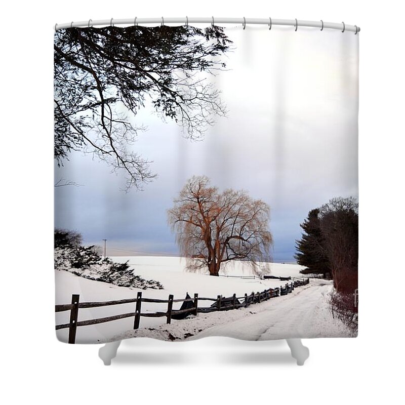 Trees Shower Curtain featuring the photograph The Tree by Dani McEvoy