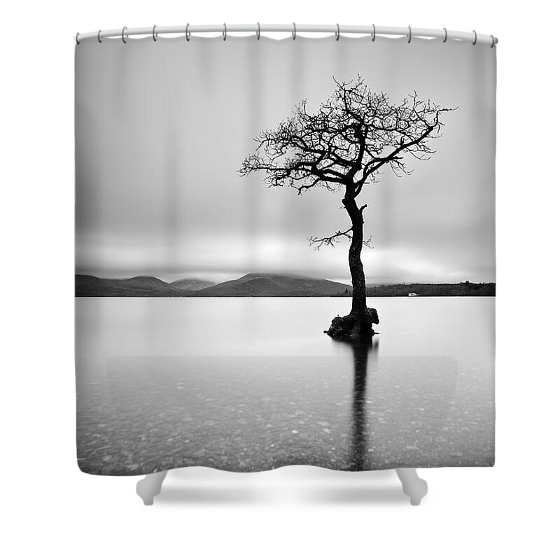 Loch Lomond Shower Curtain featuring the photograph The Tree by Grant Glendinning