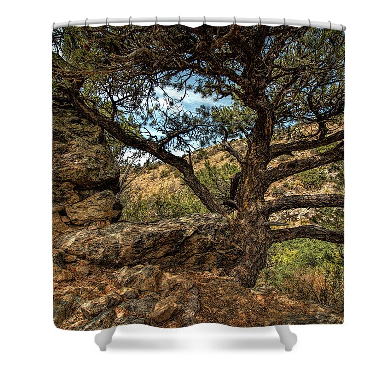 Landscape Shower Curtain featuring the photograph The Tree by Michael McKenney
