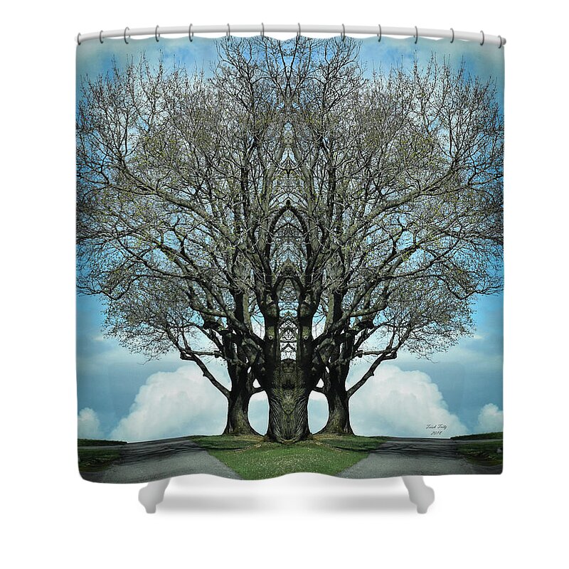 Tree Shower Curtain featuring the mixed media The Trunks Of Fairview by Trish Tritz