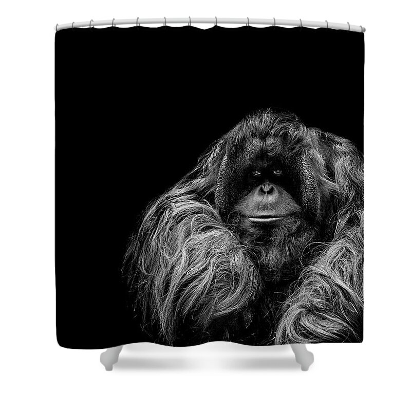 Orangutan Shower Curtain featuring the photograph The Vigilante by Paul Neville