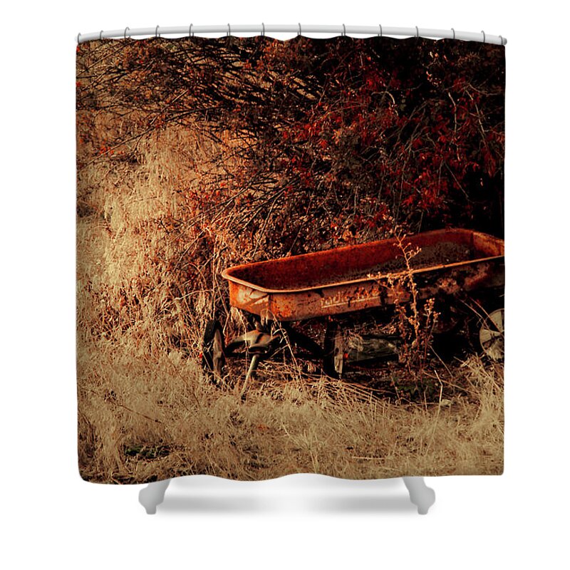 Wagon Shower Curtain featuring the photograph The Wagon by Troy Stapek