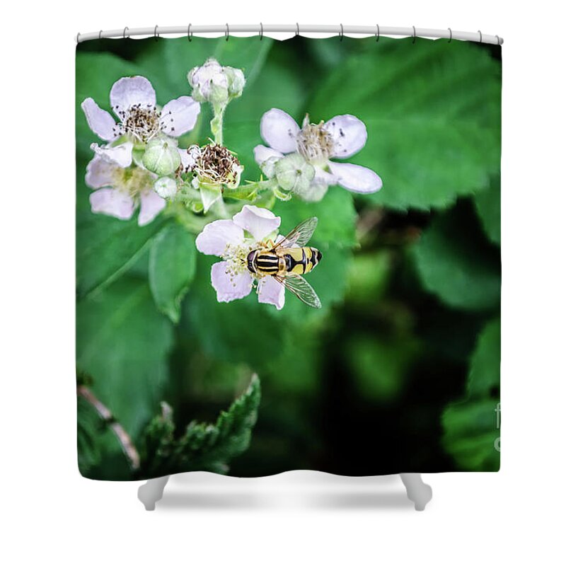 Michelle Meenawong Shower Curtain featuring the photograph The Wasp by Michelle Meenawong