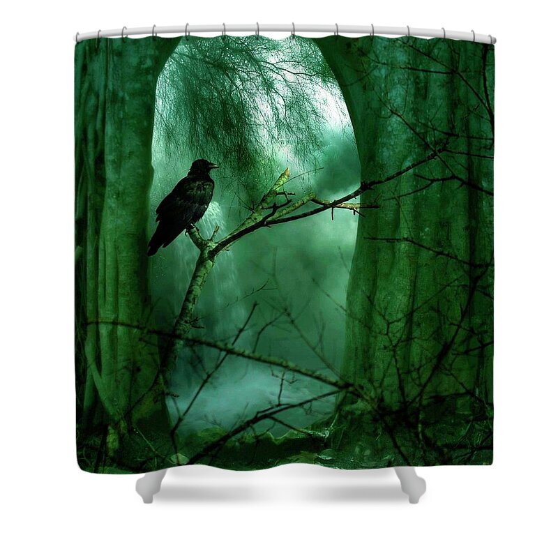 Crow Shower Curtain featuring the photograph The Watch by Stoney Lawrentz