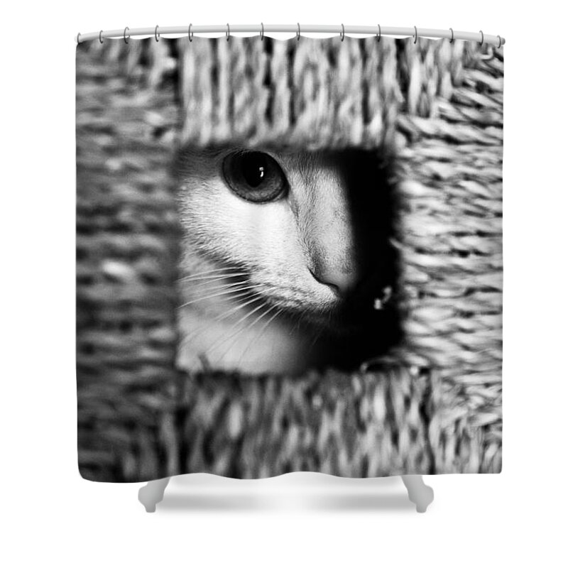 Jorgemaiaphotographer Shower Curtain featuring the photograph The Watcher by Jorge Maia