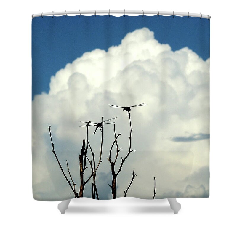 Nature Shower Curtain featuring the photograph The Watchers by Peggy Urban