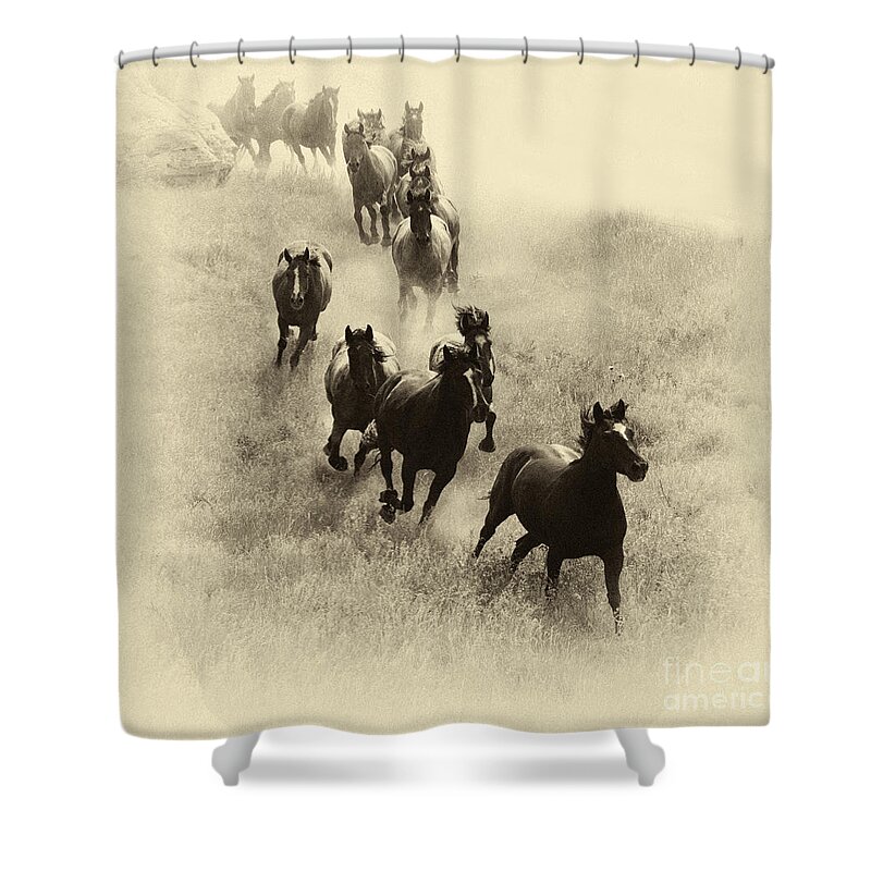 Mustang Shower Curtain featuring the photograph The Wild Bunch 1 by Bob Christopher
