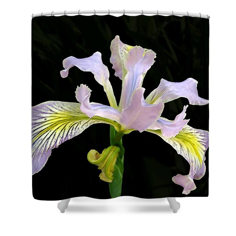 Toughleaf Iris Shower Curtain featuring the photograph The Wild Iris by I'ina Van Lawick