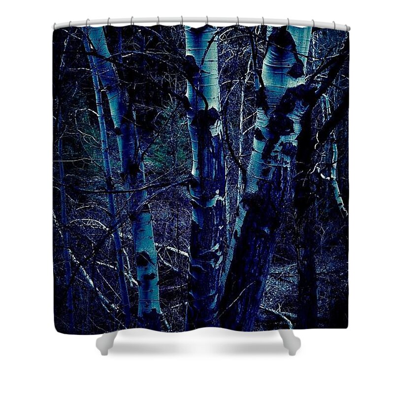 Aspen Shower Curtain featuring the painting The Witches Aspen Grove by Jennifer Lake
