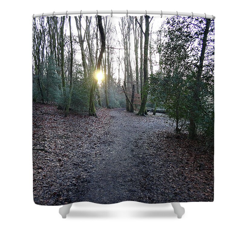 Nature Shower Curtain featuring the photograph The Woods in Winter by Richard Denyer