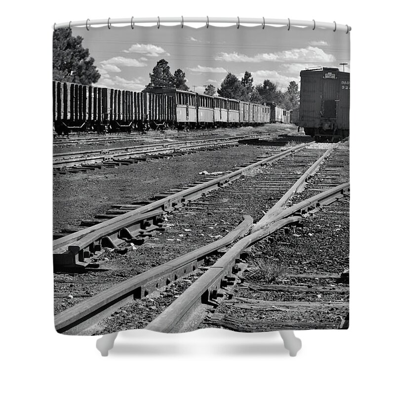 Trains Shower Curtain featuring the photograph The Yard by Ron Cline