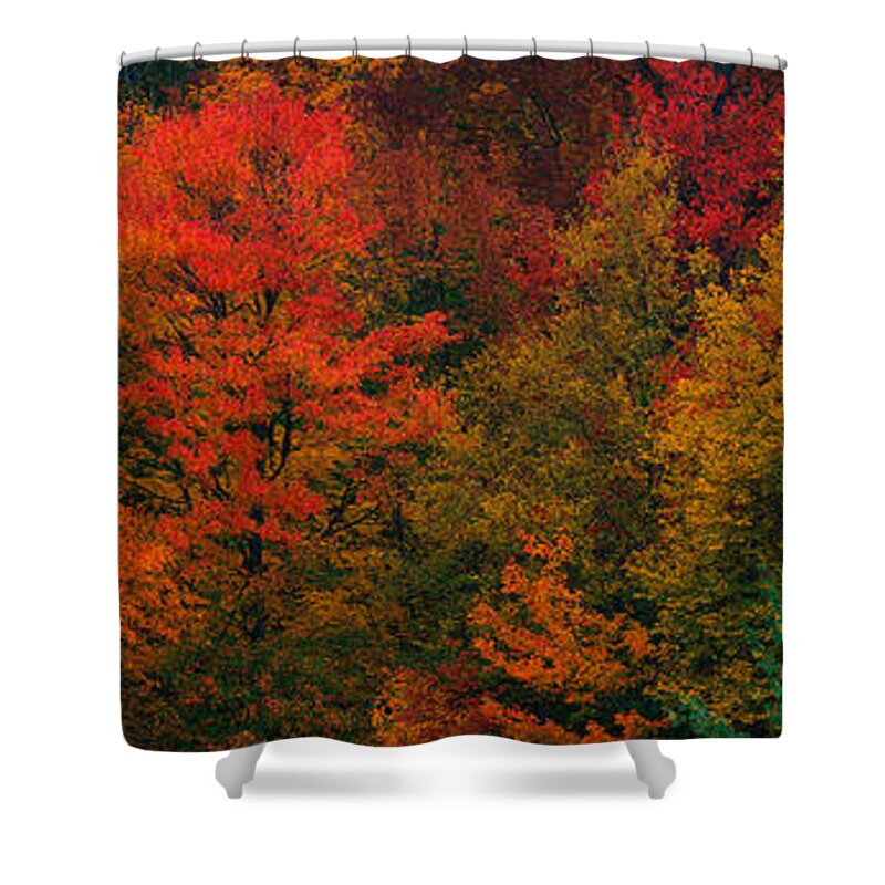 Property Release Shower Curtains