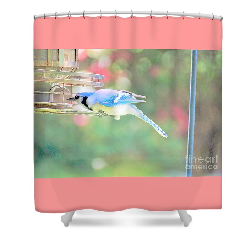 Blue Jay Shower Curtain featuring the photograph Think it Through by Merle Grenz
