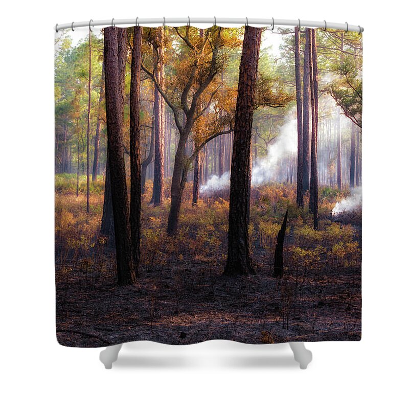 Foliage Shower Curtain featuring the photograph Thirds by Jason Roberts