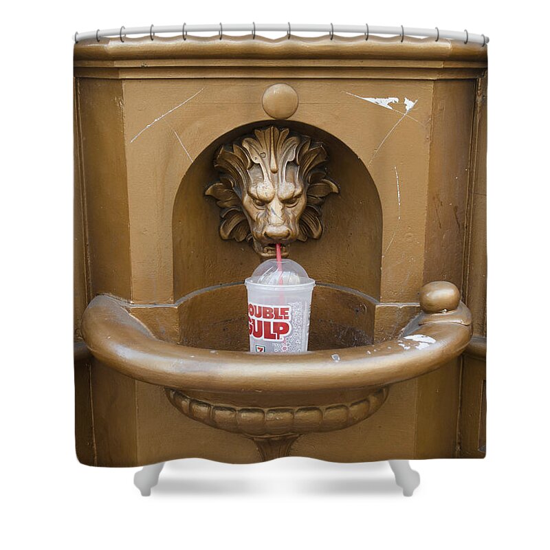 Lion Shower Curtain featuring the photograph Thirsty Lion by Erik Burg