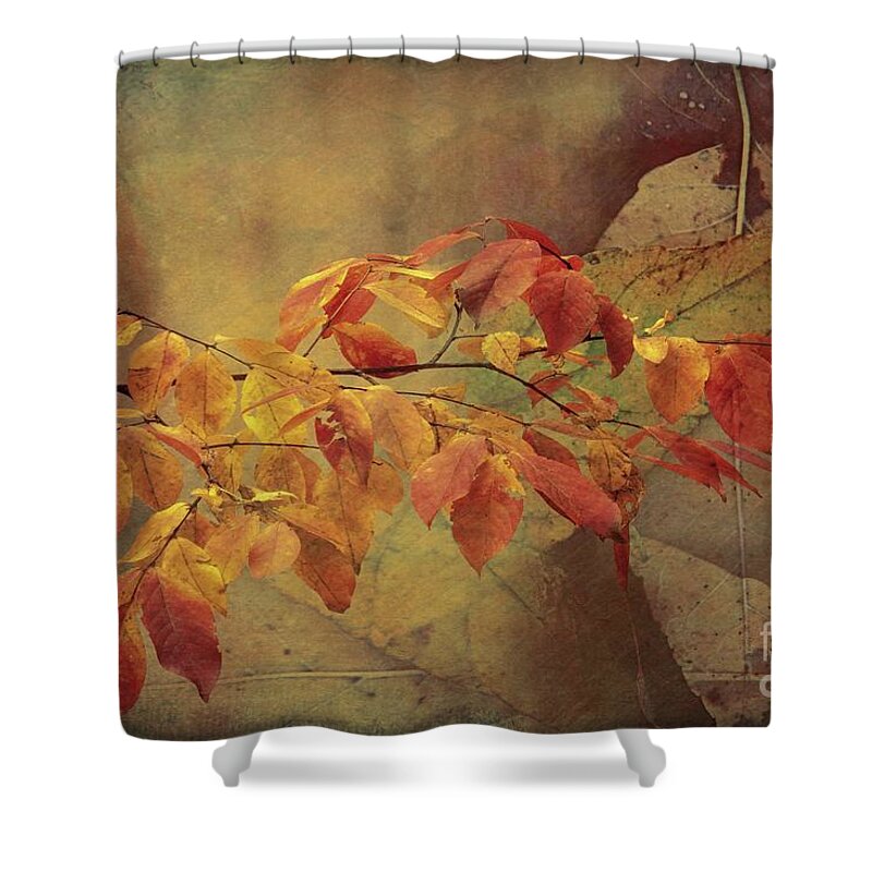 Ash Tree Shower Curtain featuring the photograph This Ash Is On Fire by Rene Crystal
