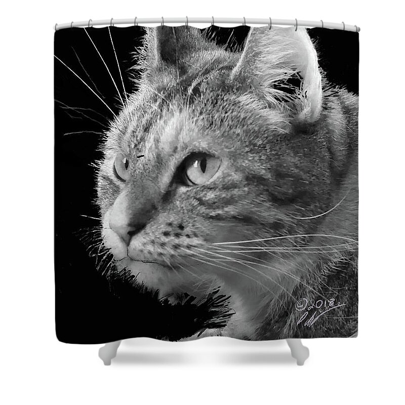 Animal Shower Curtain featuring the photograph This is Emma by Leon deVose
