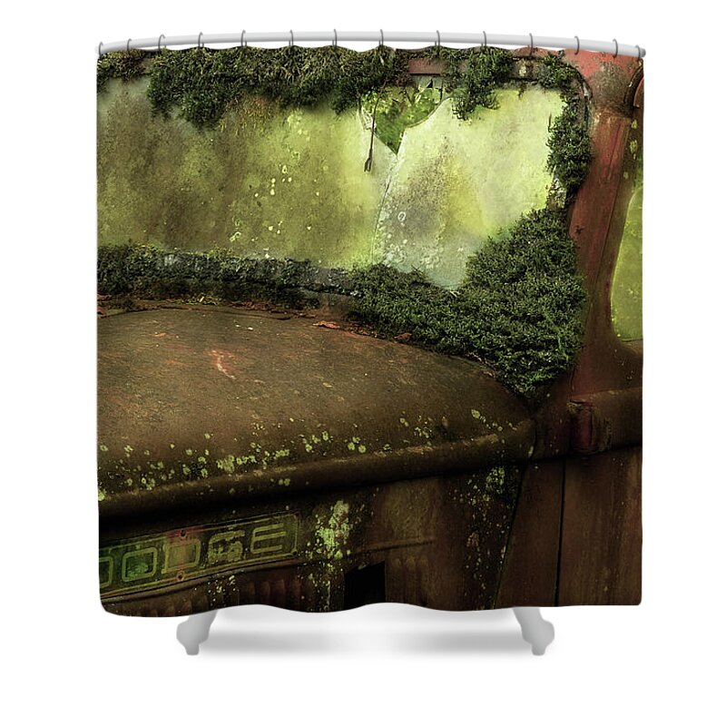 Antique Truck Shower Curtain featuring the photograph This Old Truck 2 by Mike Eingle