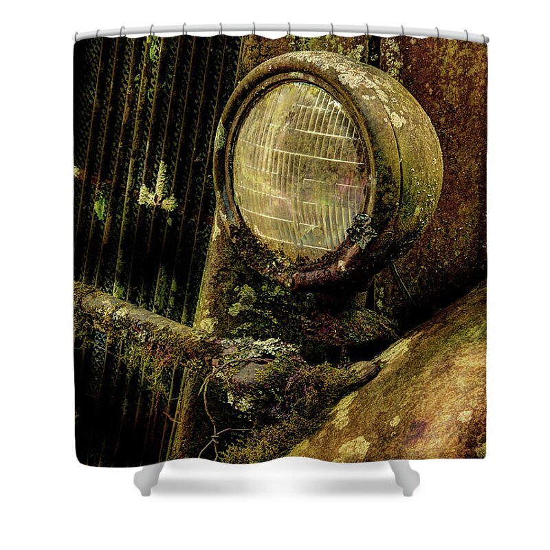 Antique Truck Shower Curtain featuring the photograph This Old Truck by Mike Eingle