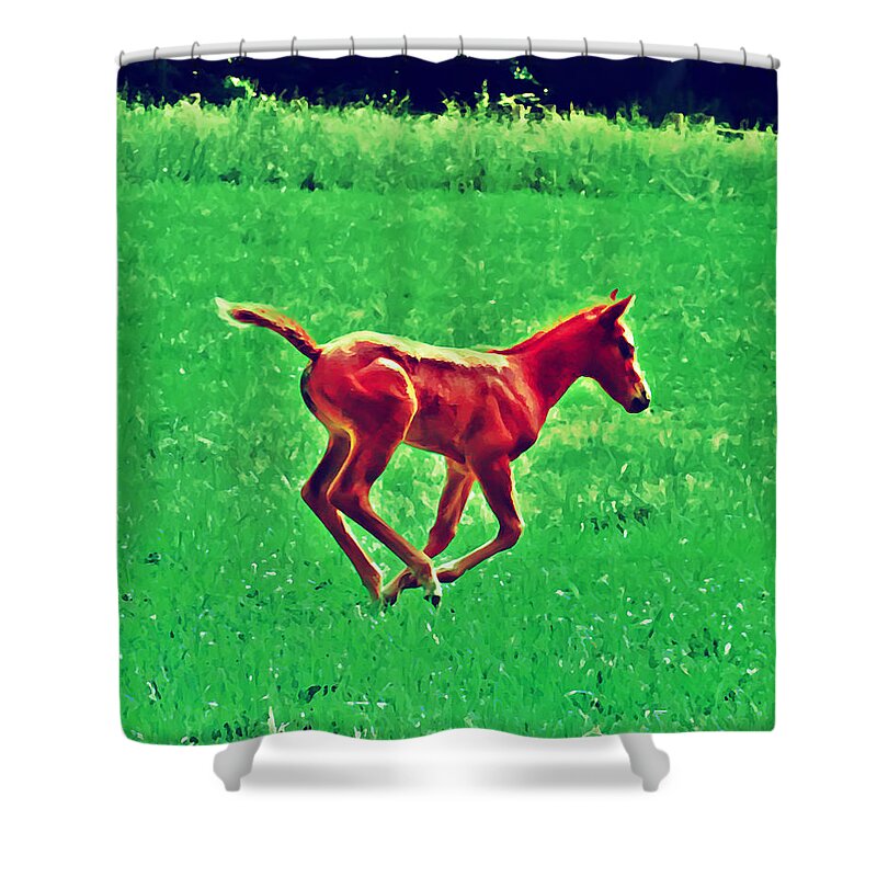Philadelphia Shower Curtain featuring the photograph Thorobred by Bill Cannon