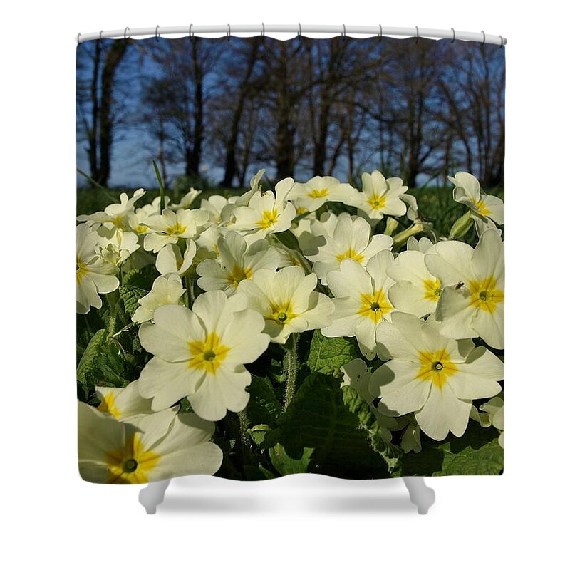 Spring Shower Curtain featuring the photograph Thoughts of Spring by Richard Brookes