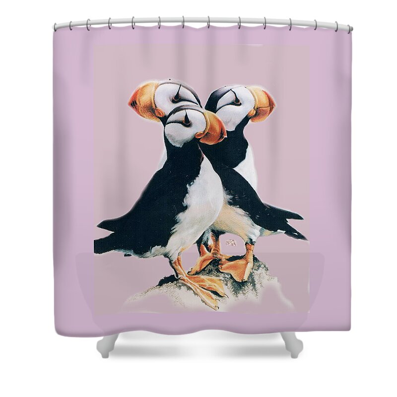 Puffins Shower Curtain featuring the drawing Three Amigoes by Barbara Keith